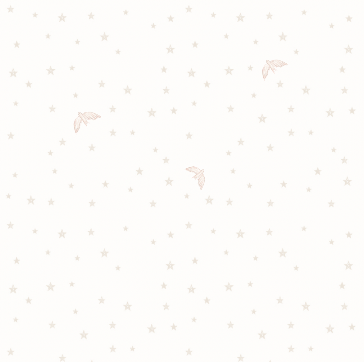 Stars&Birds