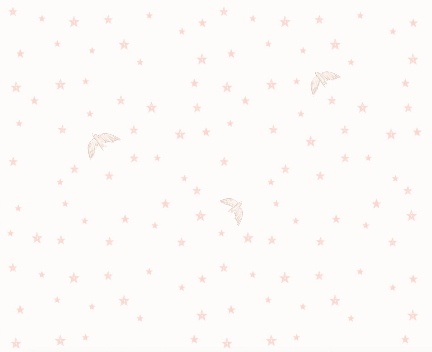 Stars&Birds