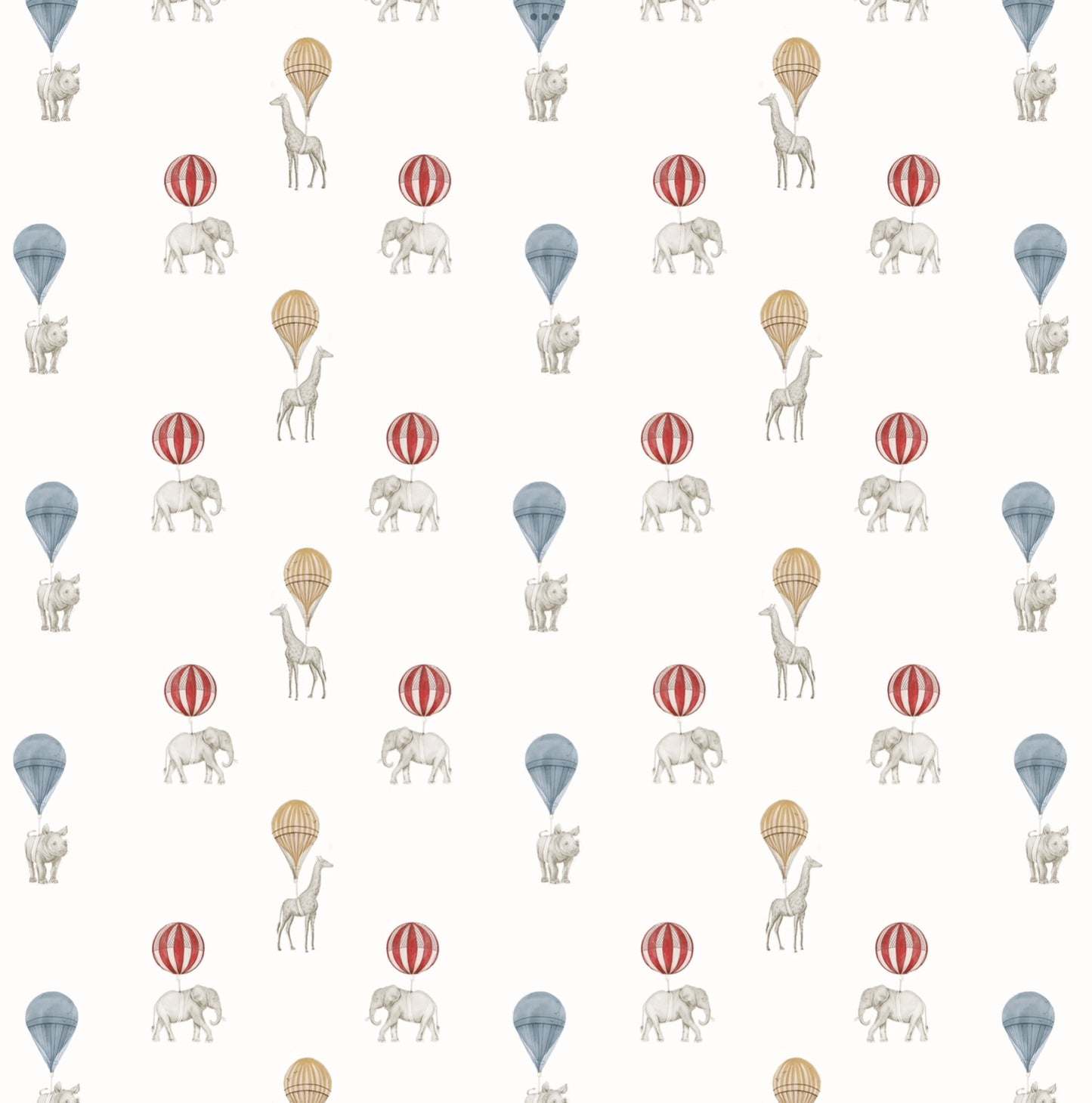 Balloons Safari