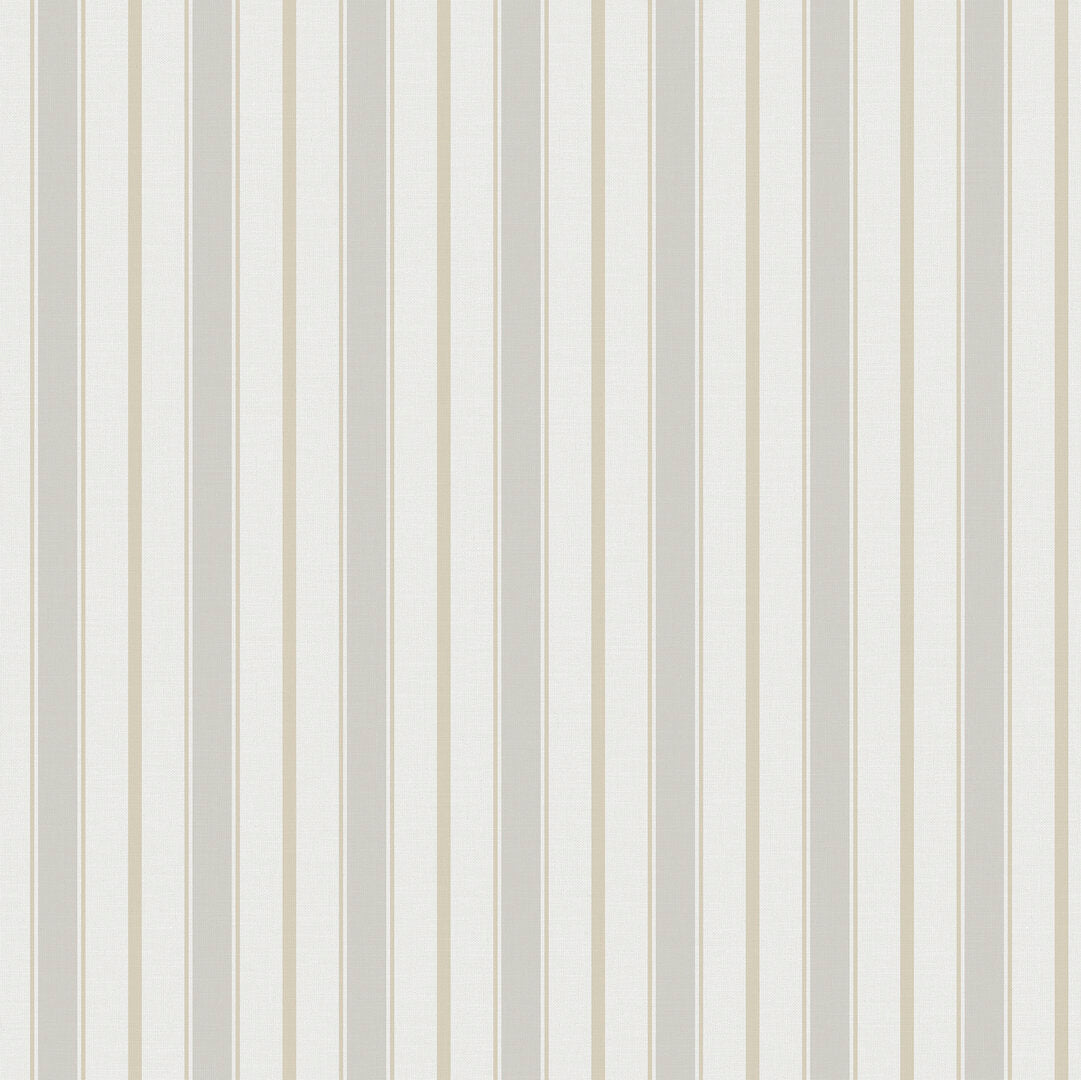 Dusty lines