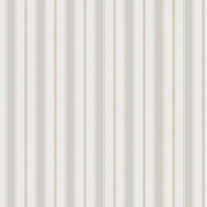 Dusty lines
