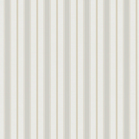 Dusty lines