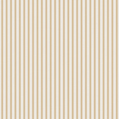 lines