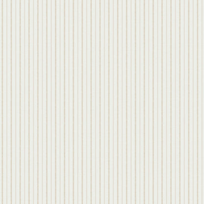 Terra lines