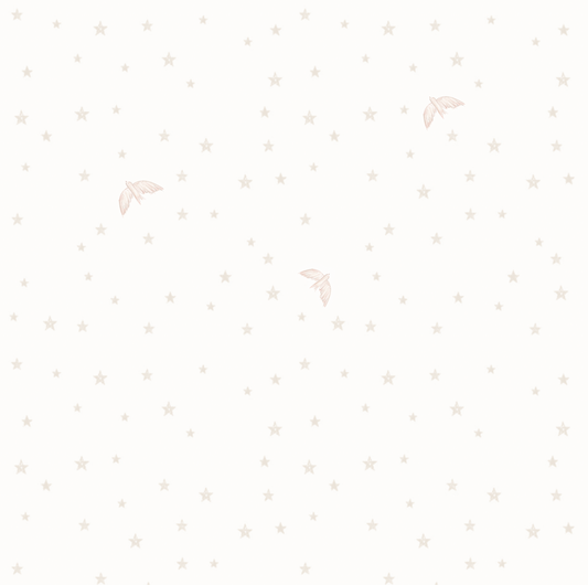 Stars&Birds