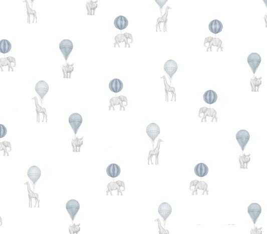 Balloons Safari space