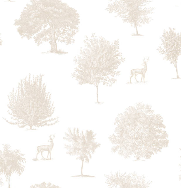 Wild Meadow